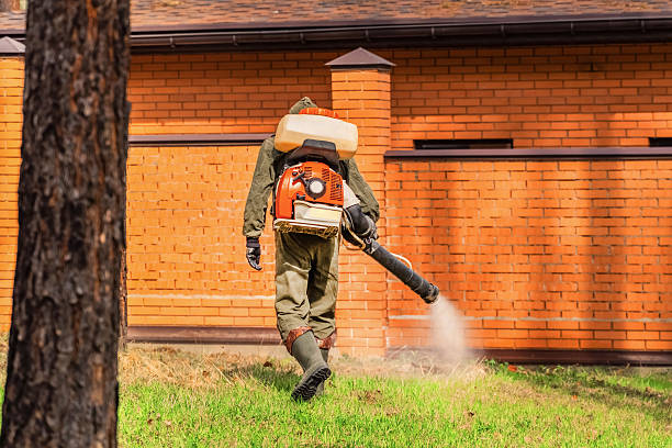 Trusted Bed Bug Control service in Troutdale, OR - Nex Pest Control